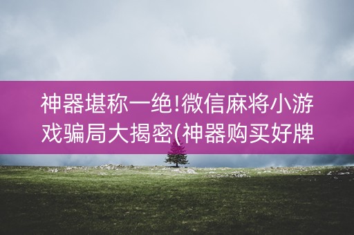 神器堪称一绝!微信麻将小游戏骗局大揭密(神器购买好牌规律)