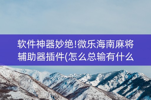 软件神器妙绝!微乐海南麻将辅助器插件(怎么总输有什么猫腻)