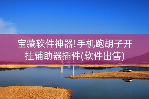 宝藏软件神器!手机跑胡子开挂辅助器插件(软件出售)