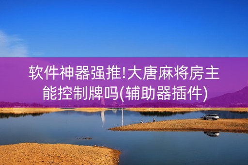 软件神器强推!大唐麻将房主能控制牌吗(辅助器插件)