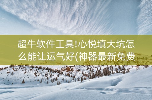 超牛软件工具!心悦填大坑怎么能让运气好(神器最新免费)