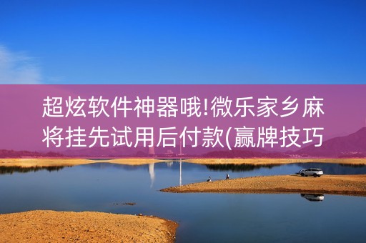 超炫软件神器哦!微乐家乡麻将挂先试用后付款(赢牌技巧插件安装)