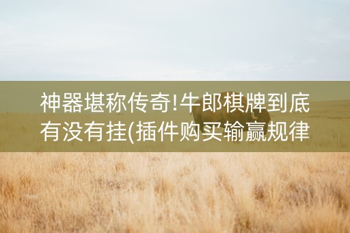 神器堪称传奇!牛郎棋牌到底有没有挂(插件购买输赢规律)