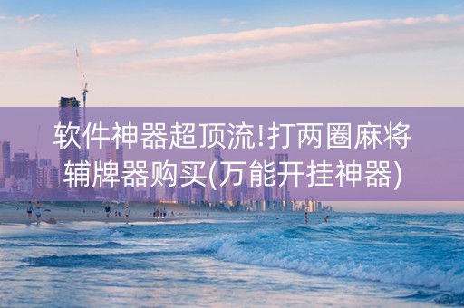 软件神器超顶流!打两圈麻将辅牌器购买(万能开挂神器)
