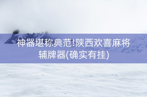 神器堪称典范!陕西欢喜麻将辅牌器(确实有挂)