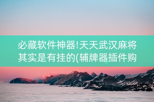 必藏软件神器!天天武汉麻将其实是有挂的(辅牌器插件购买)