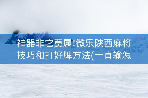 神器非它莫属!微乐陕西麻将技巧和打好牌方法(一直输怎么办)