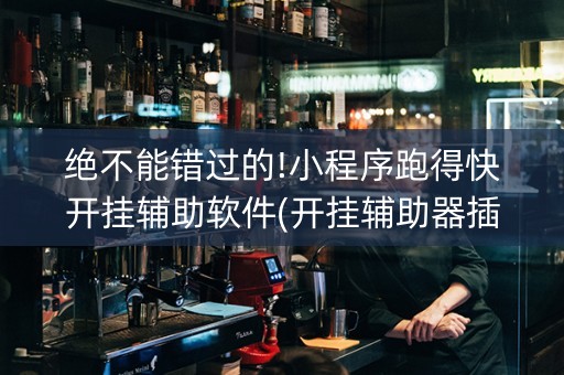 绝不能错过的!小程序跑得快开挂辅助软件(开挂辅助器插件)