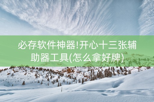 必存软件神器!开心十三张辅助器工具(怎么拿好牌)