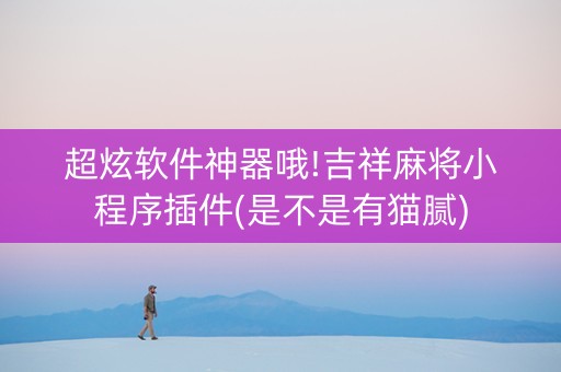 超炫软件神器哦!吉祥麻将小程序插件(是不是有猫腻)