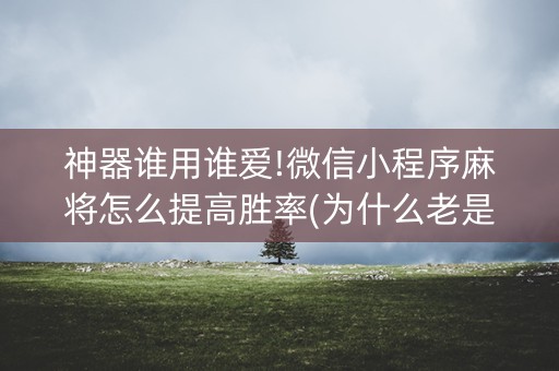 神器谁用谁爱!微信小程序麻将怎么提高胜率(为什么老是输)