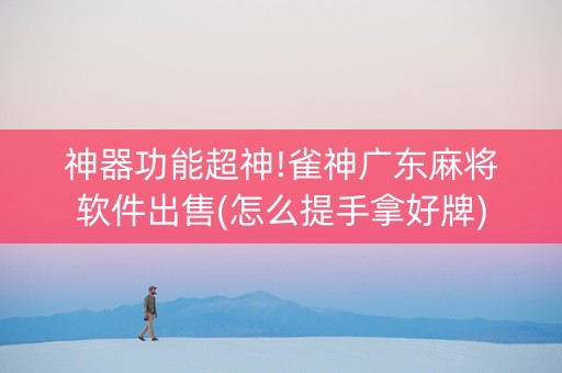 神器功能超神!雀神广东麻将软件出售(怎么提手拿好牌)