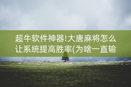 超牛软件神器!大唐麻将怎么让系统提高胜率(为啥一直输)