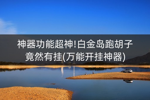 神器功能超神!白金岛跑胡子竟然有挂(万能开挂神器)