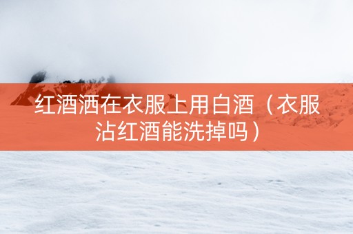 红酒洒在衣服上用白酒(衣服沾红酒能洗掉吗) 红酒洒在衣服上用白酒(衣服沾红酒能洗掉吗)