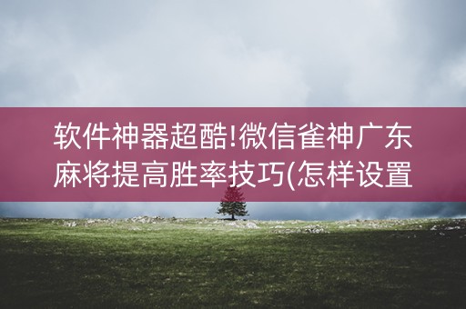 软件神器超酷!微信雀神广东麻将提高胜率技巧(怎样设置拿好牌)