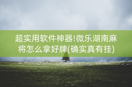 超实用软件神器!微乐湖南麻将怎么拿好牌(确实真有挂)