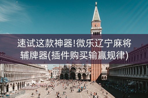 速试这款神器!微乐辽宁麻将辅牌器(插件购买输赢规律)