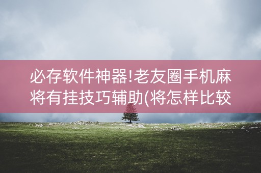 必存软件神器!老友圈手机麻将有挂技巧辅助(将怎样比较容易赢)
