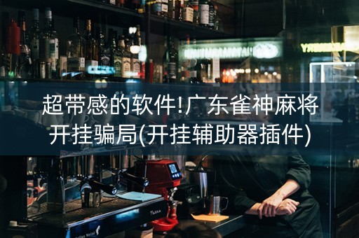 超带感的软件!广东雀神麻将开挂骗局(开挂辅助器插件)