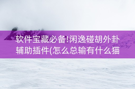 软件宝藏必备!闲逸碰胡外卦辅助插件(怎么总输有什么猫腻)