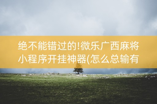 绝不能错过的!微乐广西麻将小程序开挂神器(怎么总输有什么猫腻)