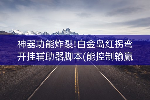 神器功能炸裂!白金岛红拐弯开挂辅助器脚本(能控制输赢吗)