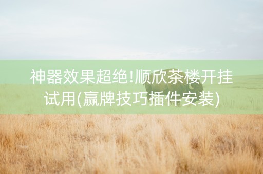 神器效果超绝!顺欣茶楼开挂试用(赢牌技巧插件安装)