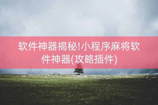 软件神器揭秘!小程序麻将软件神器(攻略插件)