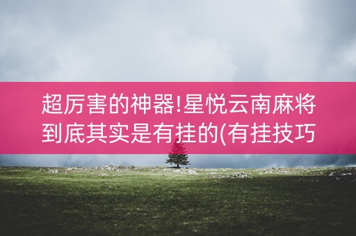 超厉害的神器!星悦云南麻将到底其实是有挂的(有挂技巧辅助器)