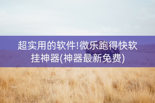 超实用的软件!微乐跑得快软挂神器(神器最新免费)