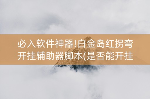 必入软件神器!白金岛红拐弯开挂辅助器脚本(是否能开挂)
