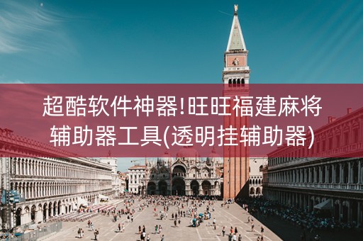 超酷软件神器!旺旺福建麻将辅助器工具(透明挂辅助器)