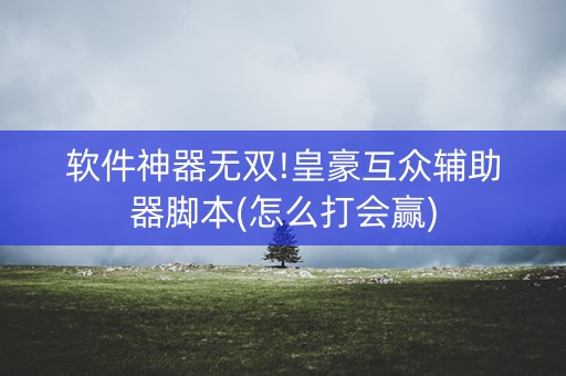软件神器无双!皇豪互众辅助器脚本(怎么打会赢)