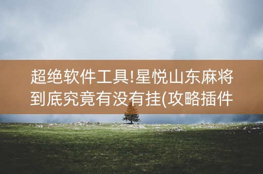 超绝软件工具!星悦山东麻将到底究竟有没有挂(攻略插件)