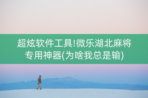 超炫软件工具!微乐湖北麻将专用神器(为啥我总是输)