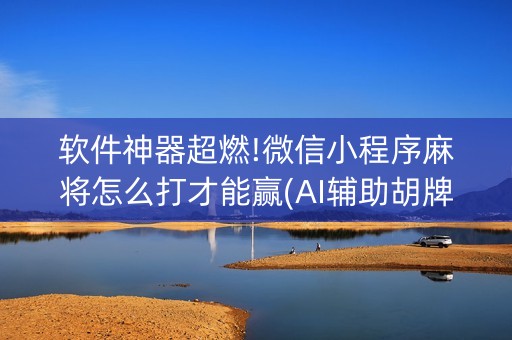 软件神器超燃!微信小程序麻将怎么打才能赢(AI辅助胡牌规则)