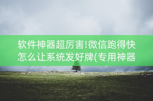 软件神器超厉害!微信跑得快怎么让系统发好牌(专用神器下载)