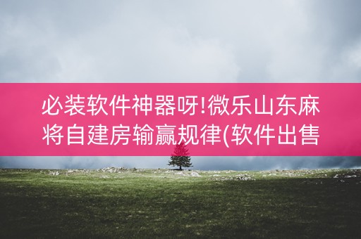 必装软件神器呀!微乐山东麻将自建房输赢规律(软件出售)