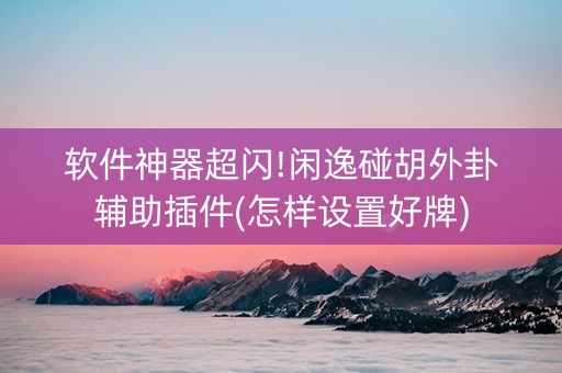 软件神器超闪!闲逸碰胡外卦辅助插件(怎样设置好牌)