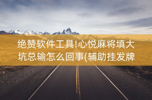 绝赞软件工具!心悦麻将填大坑总输怎么回事(辅助挂发牌规律)