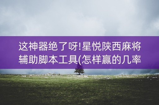 这神器绝了呀!星悦陕西麻将辅助脚本工具(怎样赢的几率大)