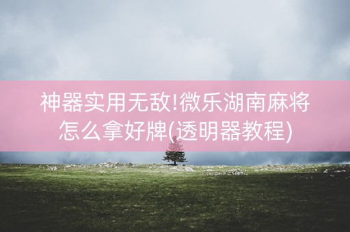 神器实用无敌!微乐湖南麻将怎么拿好牌(透明器教程)