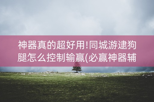神器真的超好用!同城游逮狗腿怎么控制输赢(必赢神器辅助器)