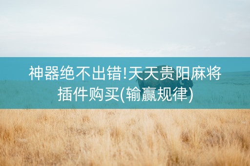 神器绝不出错!天天贵阳麻将插件购买(输赢规律)