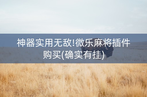 神器实用无敌!微乐麻将插件购买(确实有挂)