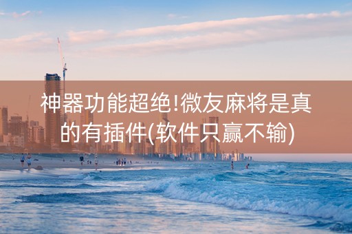神器功能超绝!微友麻将是真的有插件(软件只赢不输)