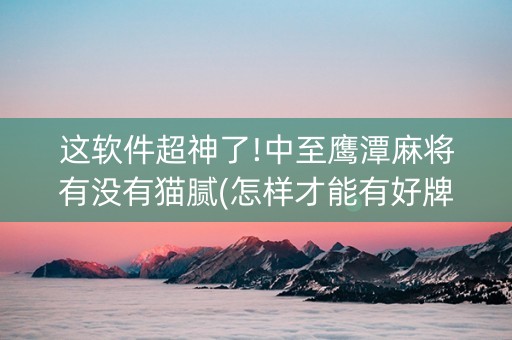 这软件超神了!中至鹰潭麻将有没有猫腻(怎样才能有好牌)