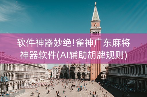 软件神器妙绝!雀神广东麻将神器软件(AI辅助胡牌规则)