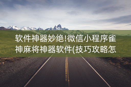 软件神器妙绝!微信小程序雀神麻将神器软件(技巧攻略怎样拿好牌)